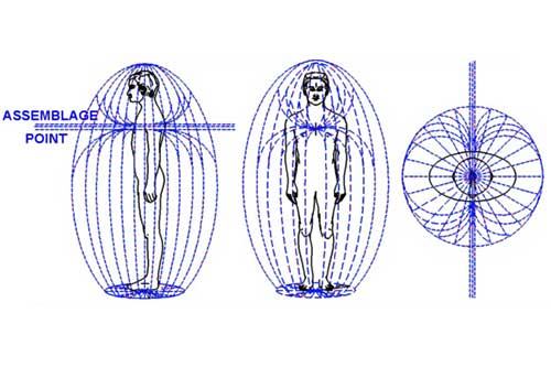  Assemblage Point 