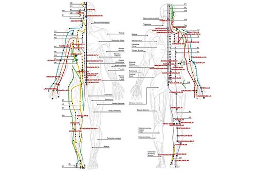 Energy Anatomy