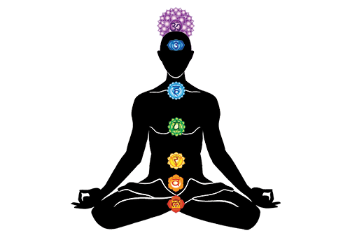 Body/Mind