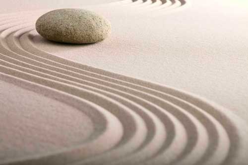 Harmony for Life