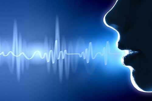 Using Your Voice